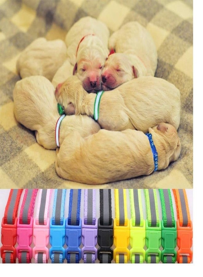 KittuPet Pack of 12 Collars - 6 Reflective and 6 Bow Tie Collars with Bell for Kitten Puppies Dog, 10 MM, Random Color - Image 2